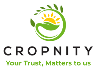 Agriculture Website Design Company