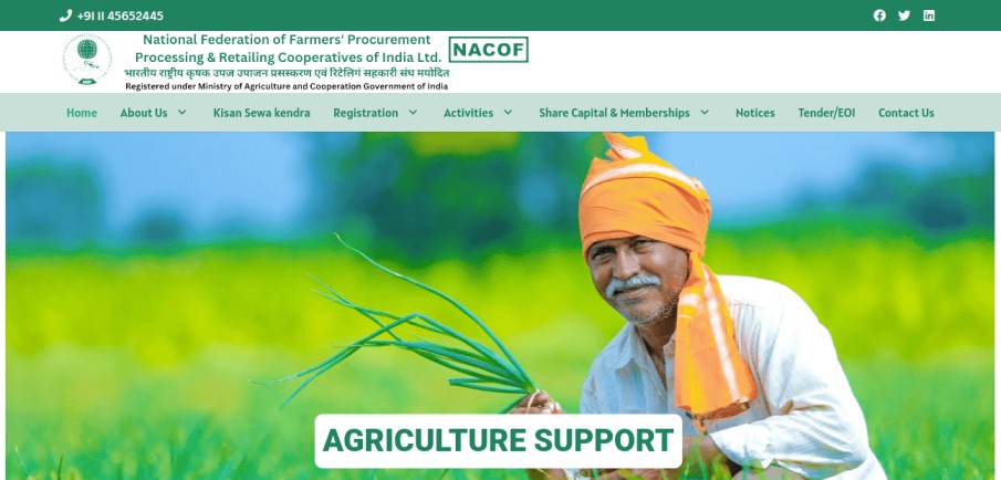 Website Design Company in Faridabad