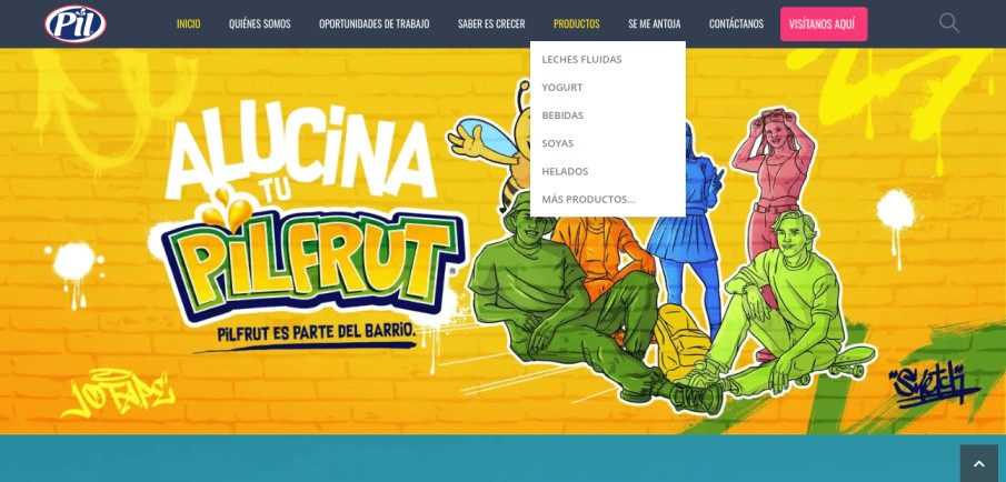 Website Design Company in Faridabad