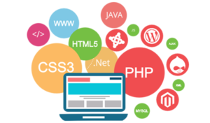 Dynamic Website Designing In Delhi.